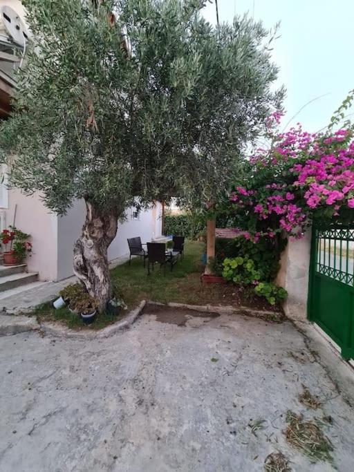 Semelia'S Guest House Spáta Екстериор снимка